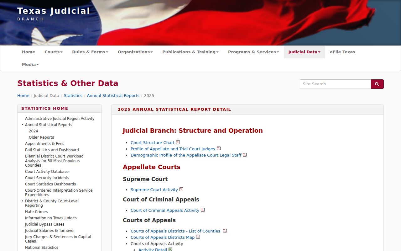 Reagan County court records categories on the FY2025 OCA reports page
