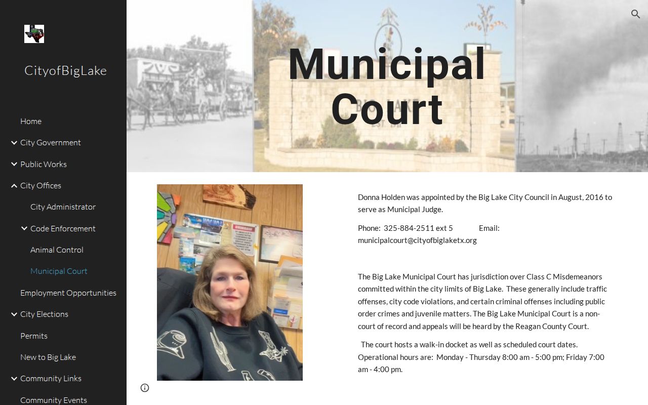 Big Lake Municipal Court traffic record and citation instructions in Reagan County