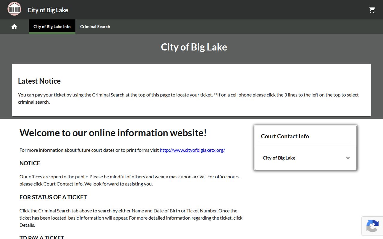GovRec destination gap for Big Lake Reagan County traffic court records